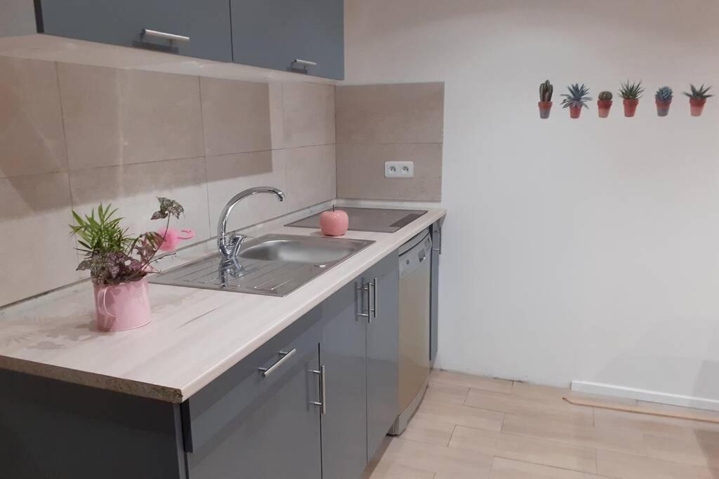 Appartement 3 Pieces Dans Villa Individuelle Falicon Zewnętrze zdjęcie